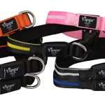Yippr Dog Collars